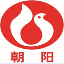 朝陽(yáng)泵業(yè)QZ軸流、QH混流潛水電泵